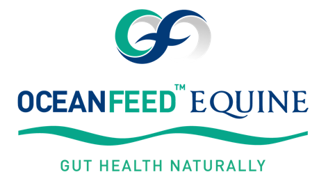 Oceanfeed Equine
