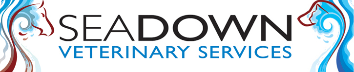 Seadown Vets